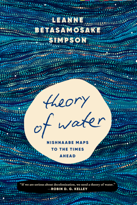 Cover image for book Theory of Water