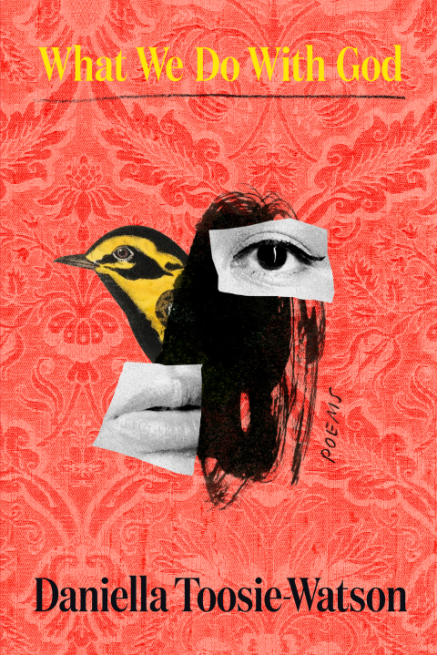 Cover image for book What We Do With God