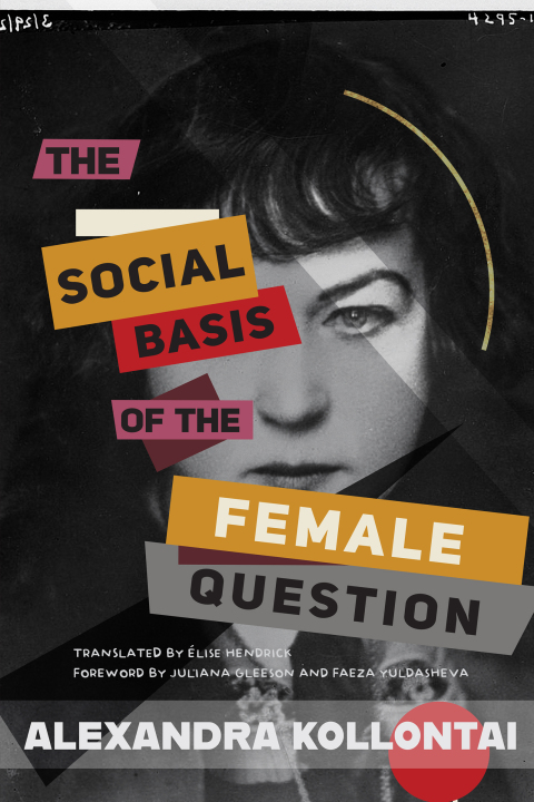 Cover image for book The Social Basis of the Female Question