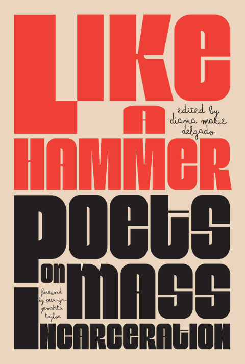 Cover image for book Like a Hammer
