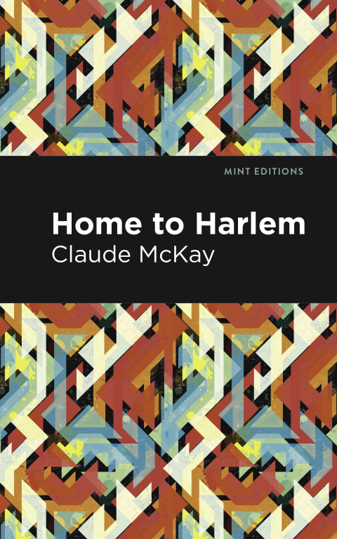 Cover image for book Home to Harlem