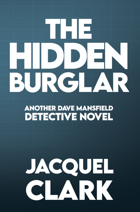 Cover image for book The Hidden Burglar