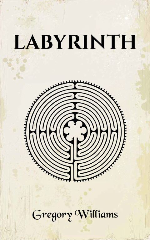 Cover image for book Labyrinth