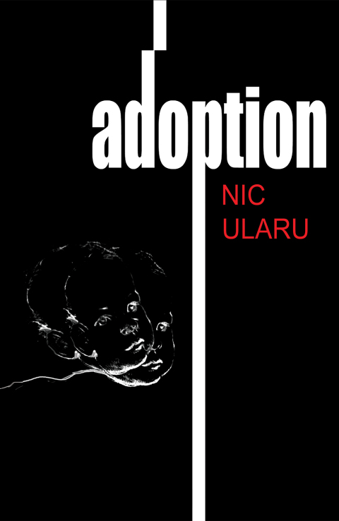 Cover image for book Adoption