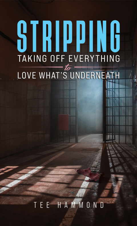 Cover image for book Stripping