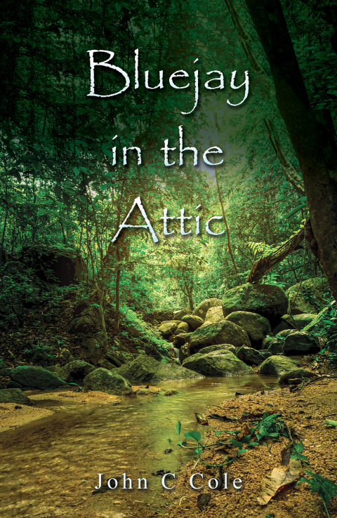 Cover image for book Bluejay in the Attic