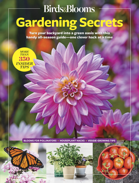 Cover image for book Birds & Blooms Gardening Secrets