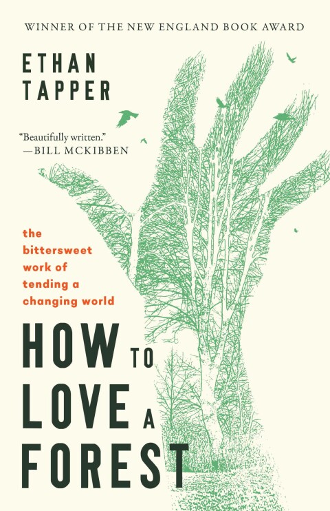 Cover image for book How to Love a Forest: The Bittersweet Work of Tending a Changing World