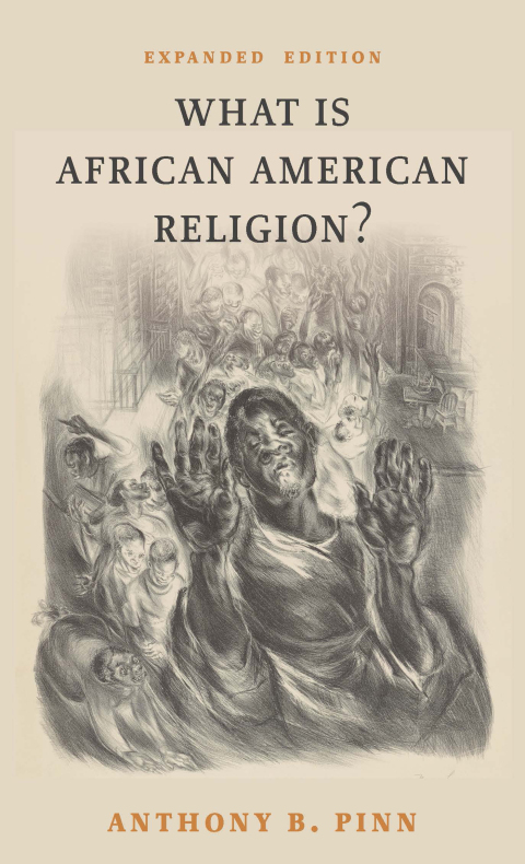 Cover image for book What Is African American Religion?