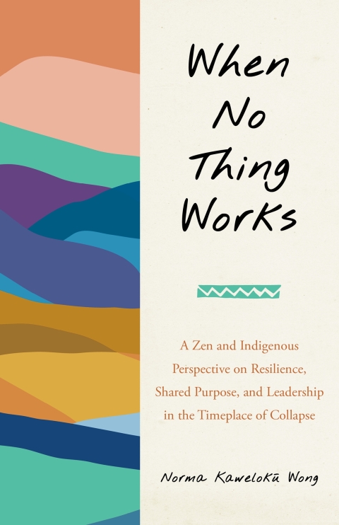Cover image for book When No Thing Works