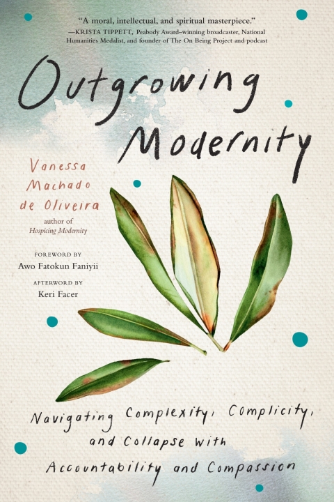 Cover image for book Outgrowing Modernity