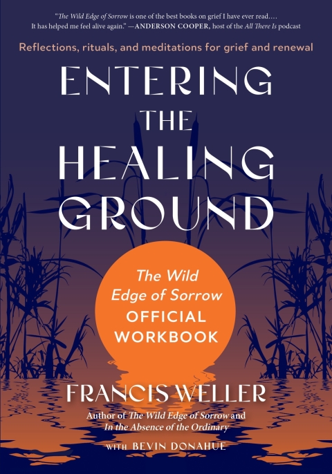 Cover image for book Entering the Healing Ground