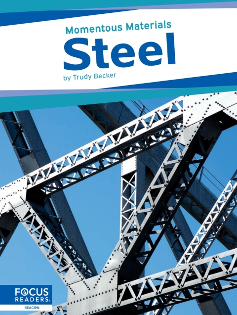Cover image for book Steel