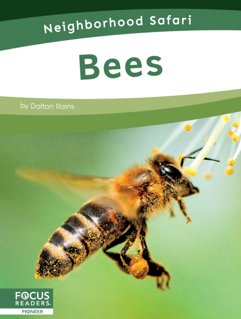Cover image for book Bees