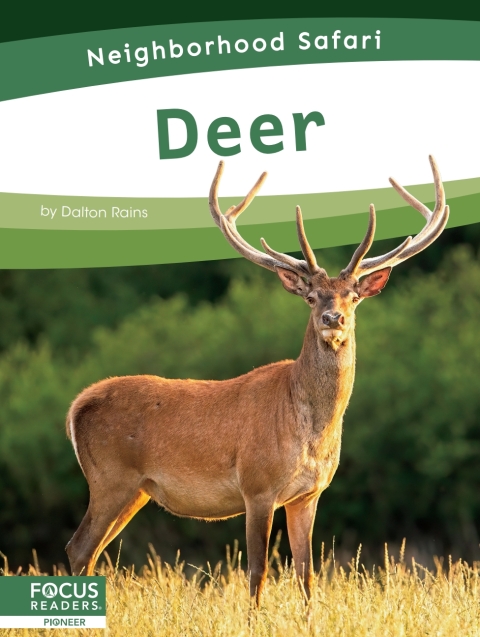 Cover image for book Deer