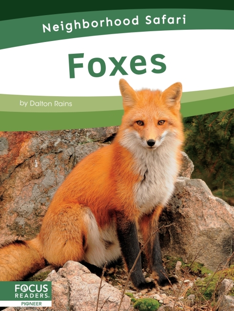 Cover image for book Foxes