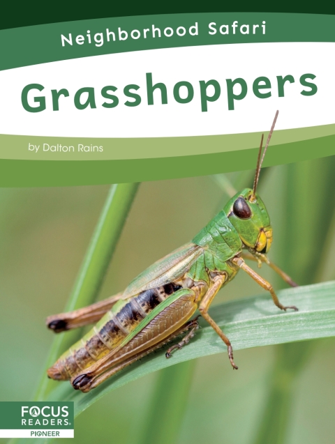 Cover image for book Grasshoppers