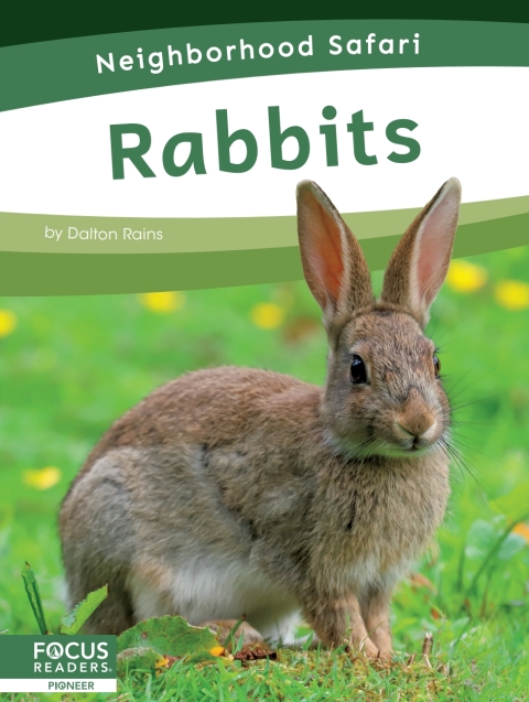 Cover image for book Rabbits