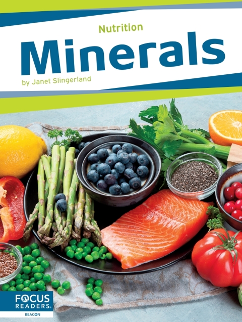 Cover image for book Minerals