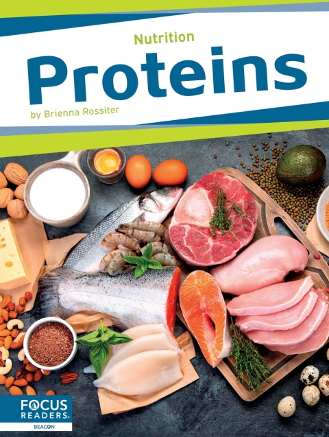 Cover image for book Proteins