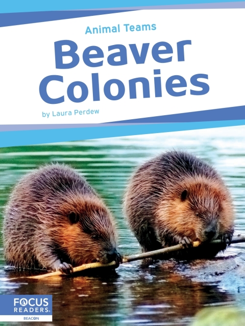 Cover image for book Beaver Colonies