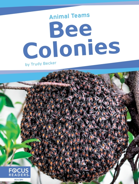 Cover image for book Bee Colonies