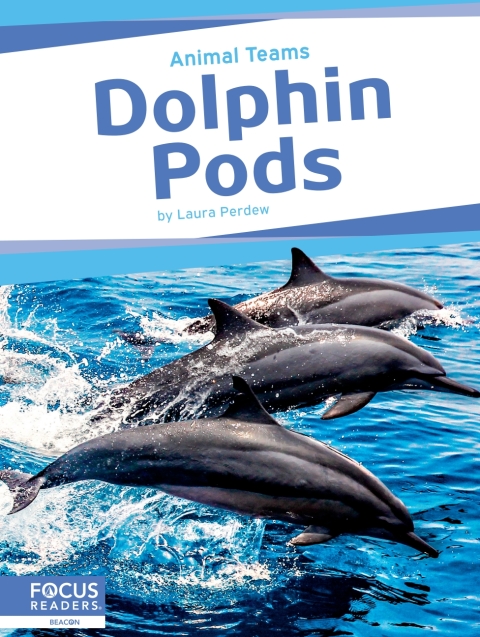 Cover image for book Dolphin Pods