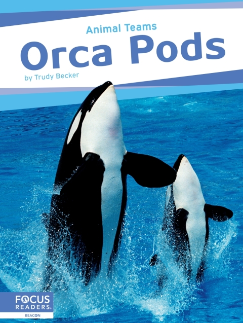 Cover image for book Orca Pods