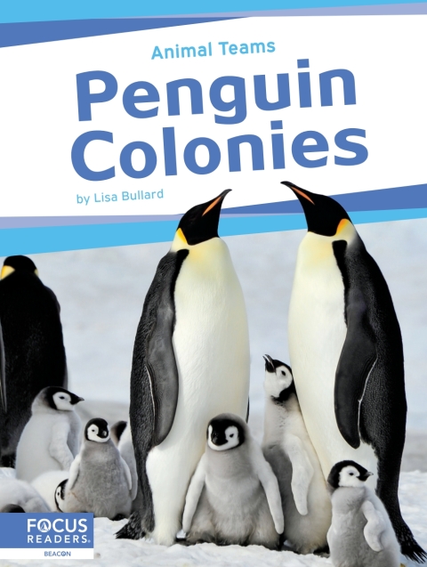 Penguin Colonies 