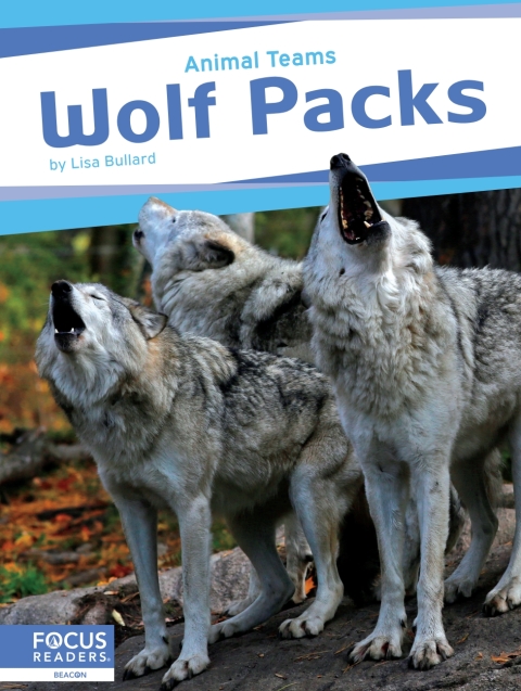 Wolf Packs 