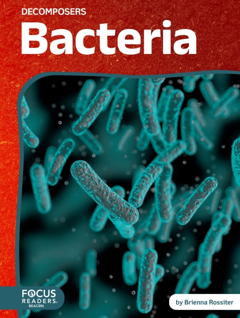 Cover image for book Bacteria