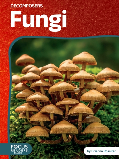 Cover image for book Fungi
