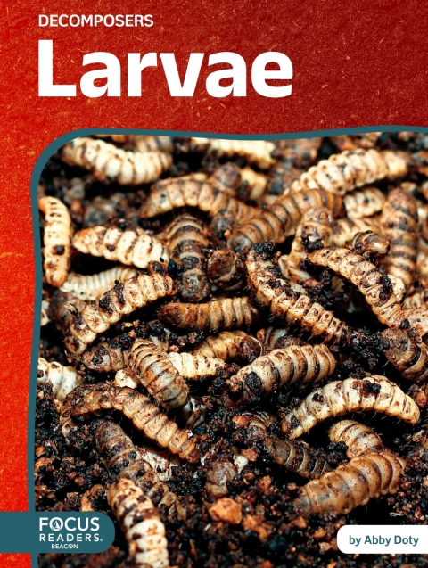 Cover image for book Larvae