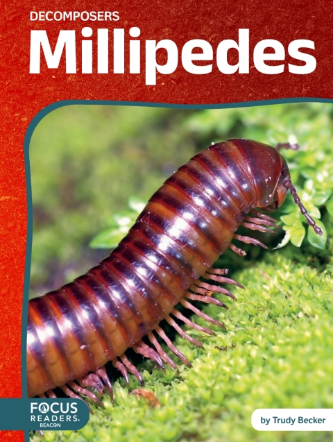 Cover image for book Millipedes