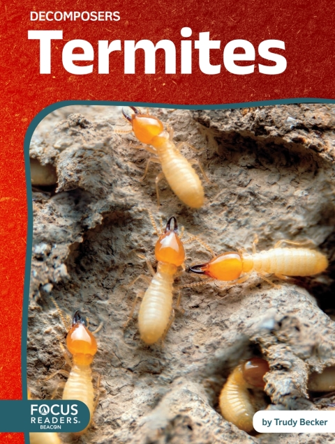 Cover image for book Termites