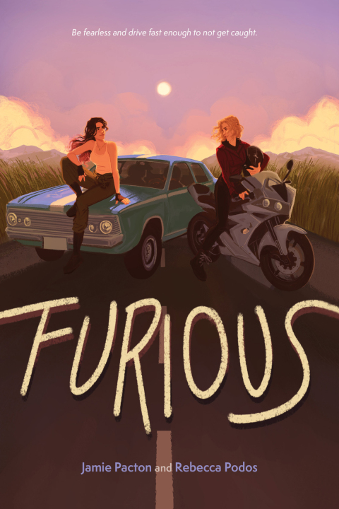 Cover image for book Furious