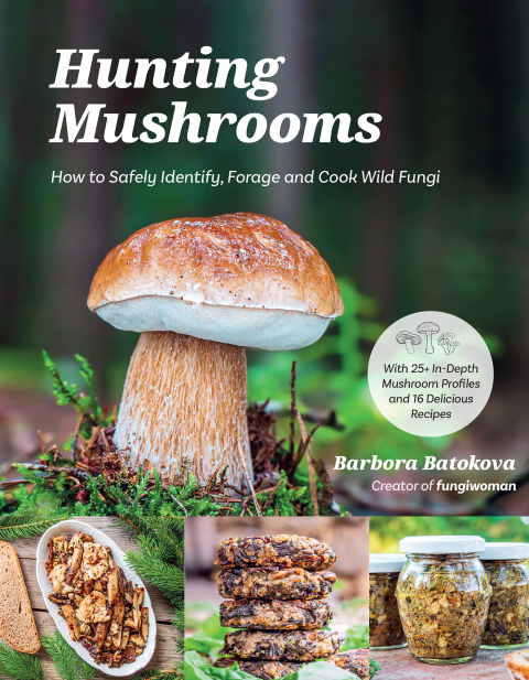 Cover image for book Hunting Mushrooms