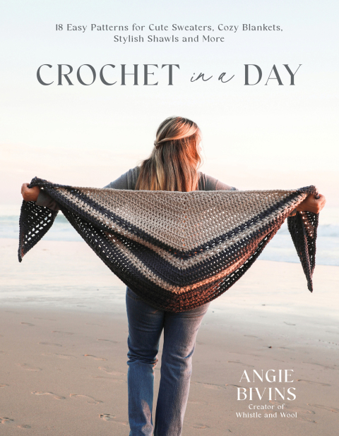 Cover image for book Crochet in a Day