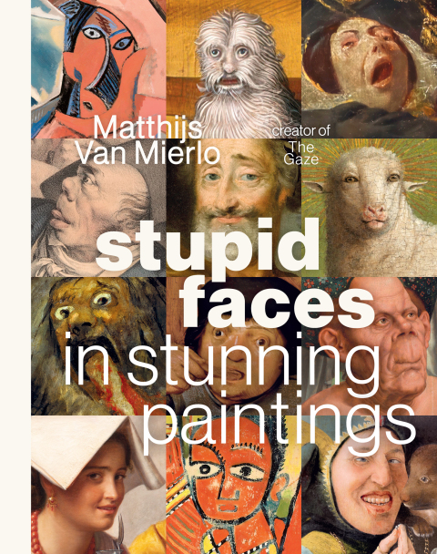 Cover image for book Stupid Faces in Stunning Paintings