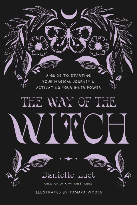 Cover image for book The Way of the Witch