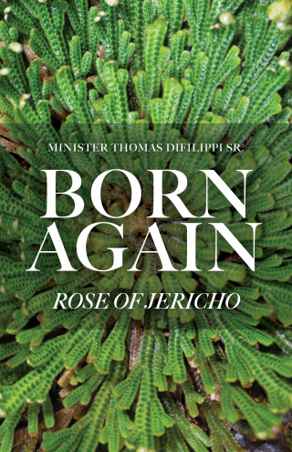 Born Again