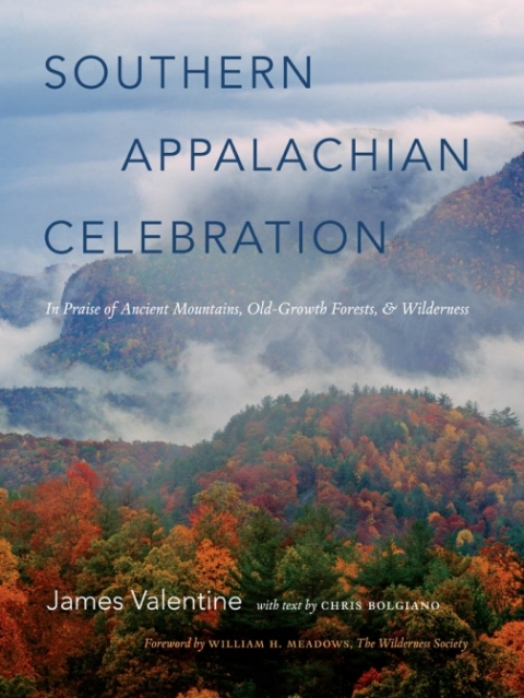 Cover image for book Southern Appalachian Celebration