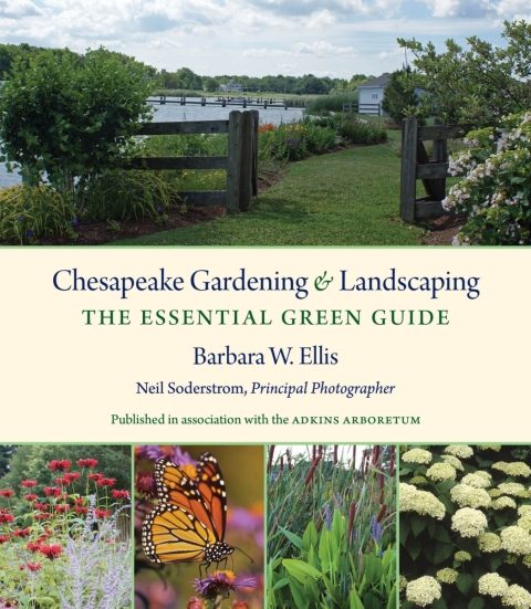 Cover image for book Chesapeake Gardening and Landscaping