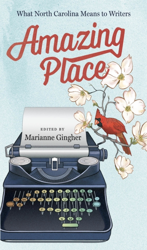 Cover image for book Amazing Place