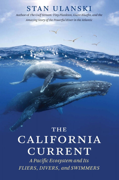 Cover image for book The California Current