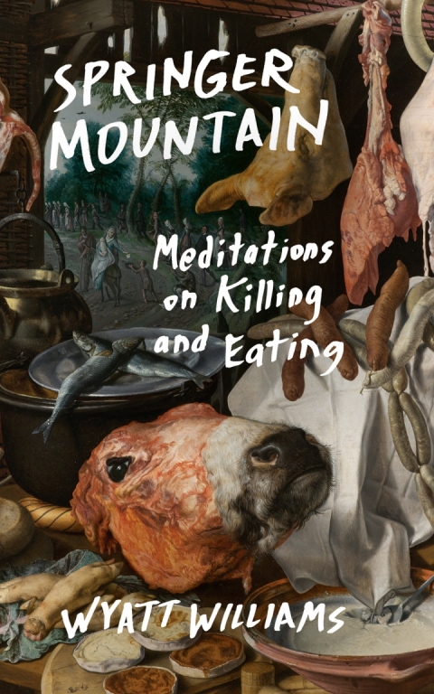 Cover image for book Springer Mountain