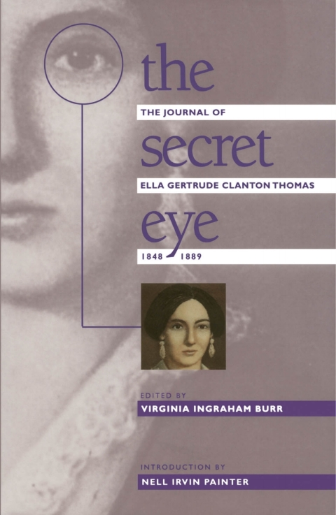 Cover image for book The Secret Eye