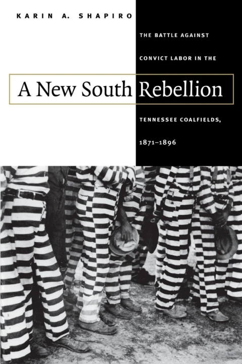 Cover image for book A New South Rebellion