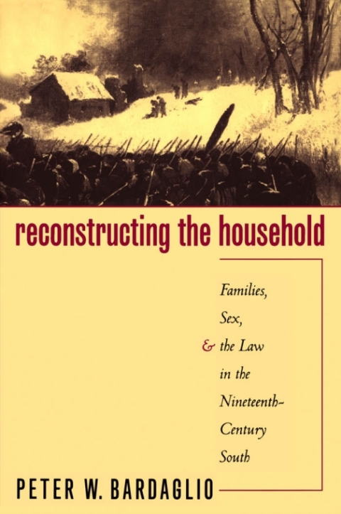 Cover image for book Reconstructing the Household