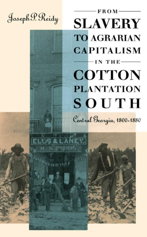 Cover image for book From Slavery to Agrarian Capitalism in the Cotton Plantation South